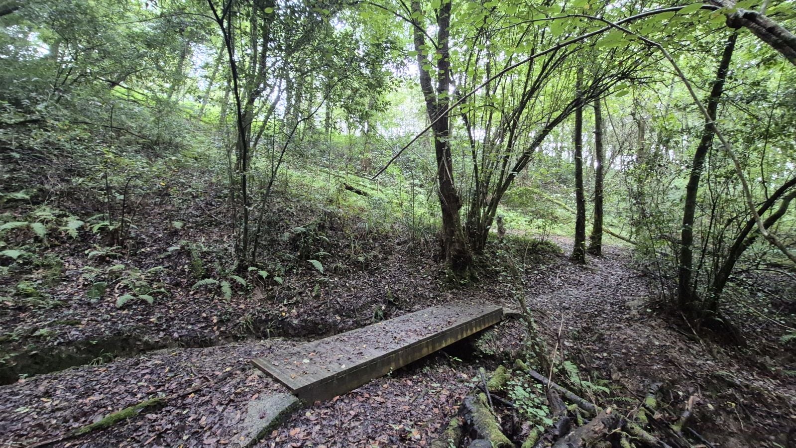 Un paseo de tres horas por Oriamendi