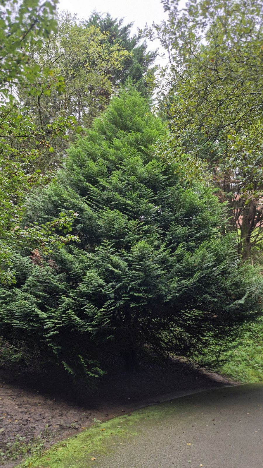 Un paseo de tres horas por Oriamendi