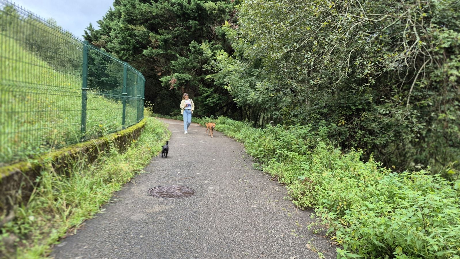 Un paseo de tres horas por Oriamendi