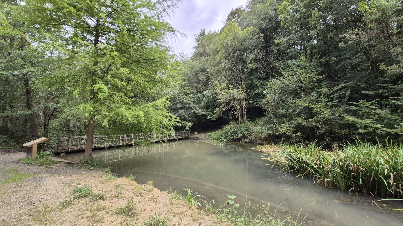 Un paseo de tres horas por Oriamendi