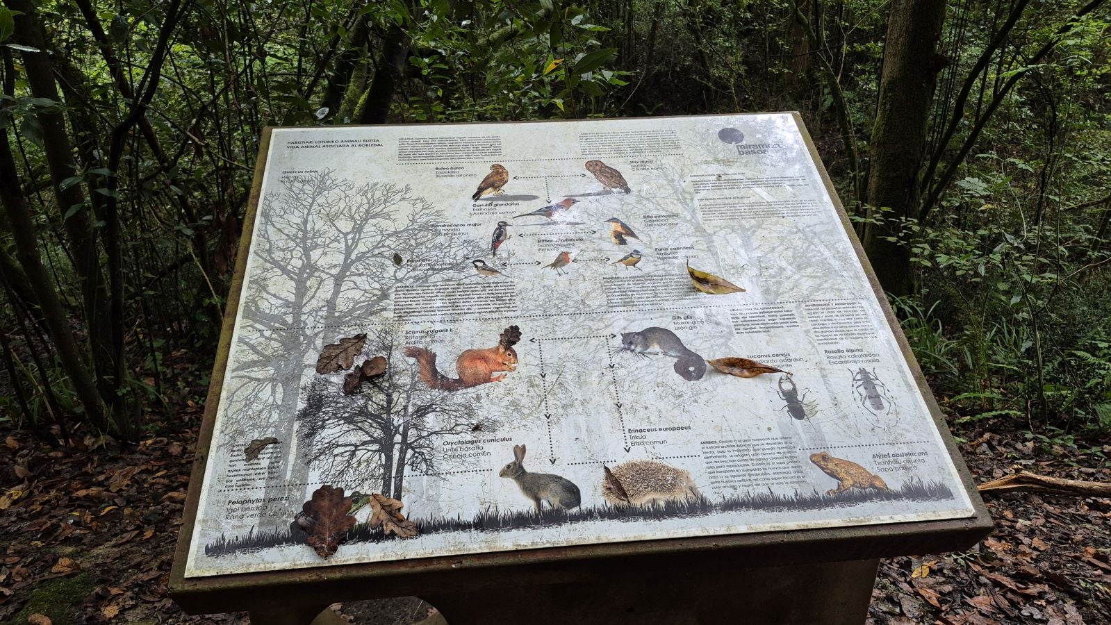 Un paseo de tres horas por Oriamendi