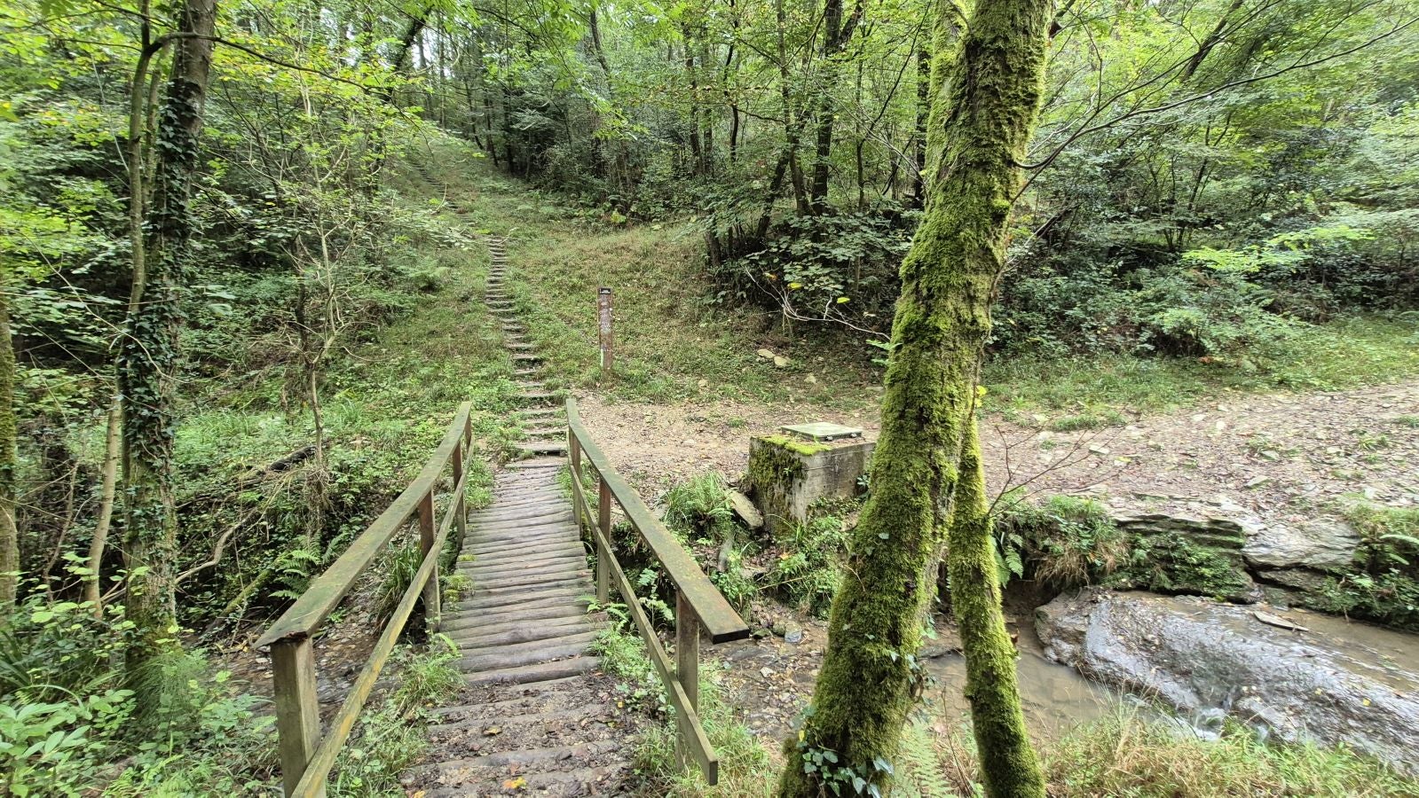 Un paseo de tres horas por Oriamendi