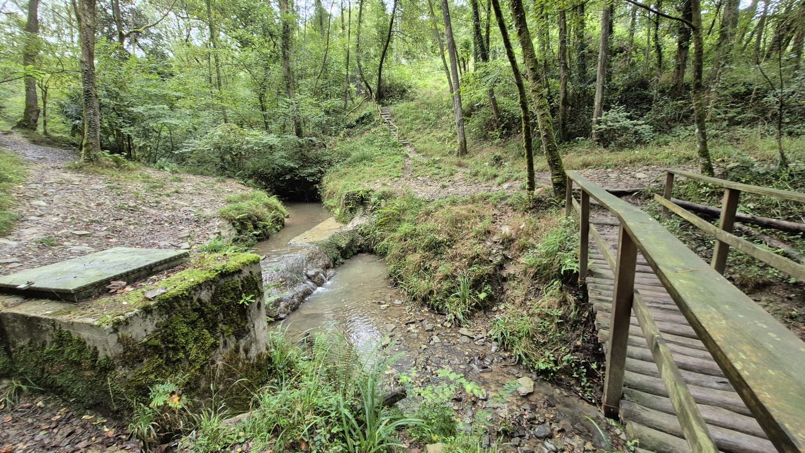 Un paseo de tres horas por Oriamendi