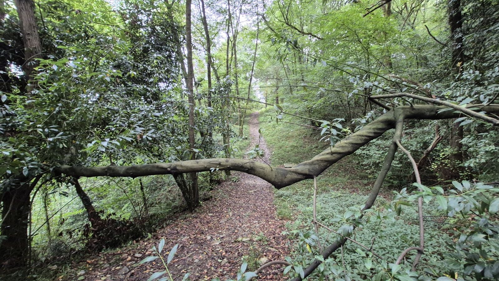 Un paseo de tres horas por Oriamendi