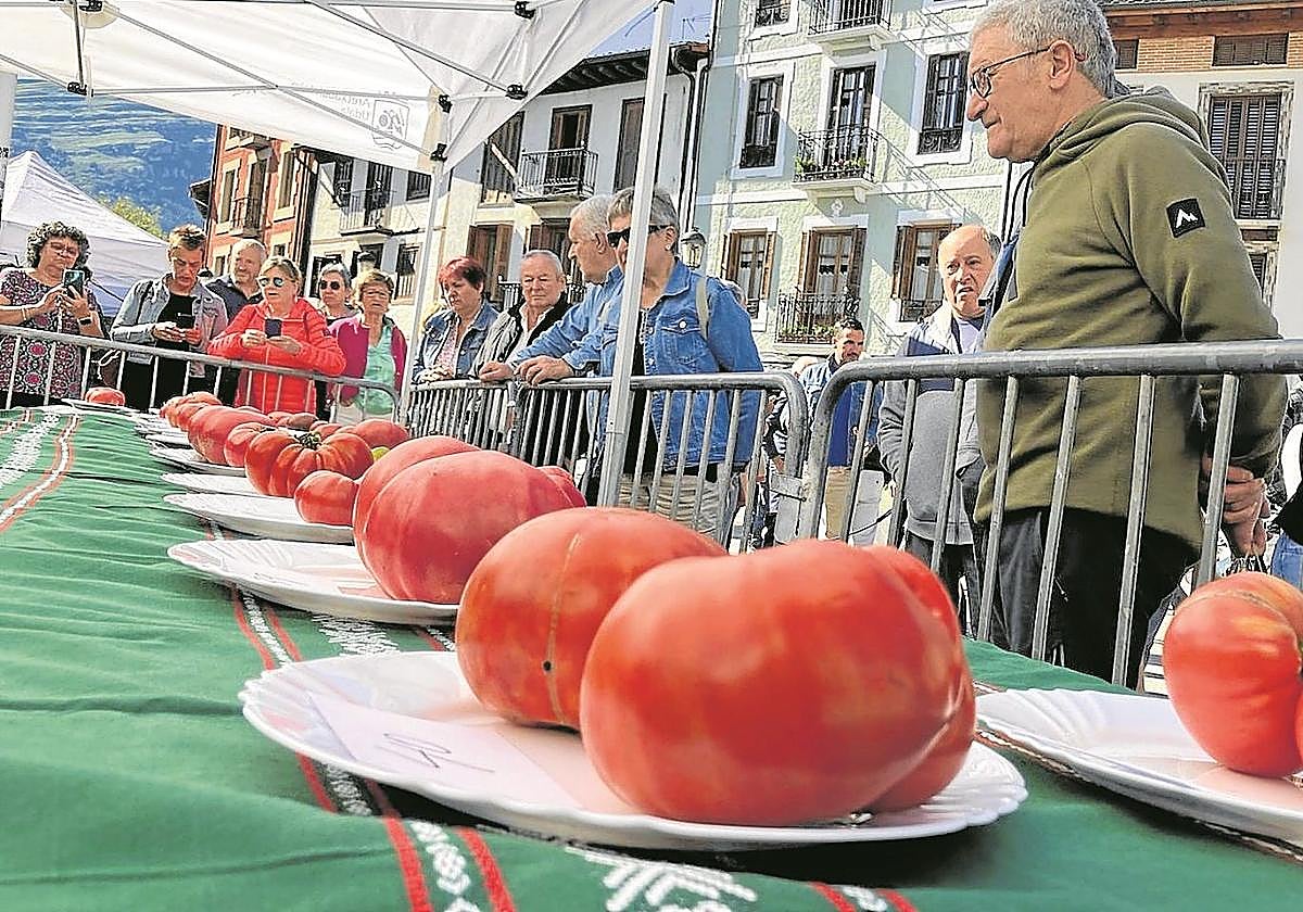 Una veintena de puestos de venta completarán la jornada ferial.
