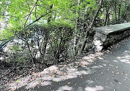 Denuncia Fco. Javier Sainz: «Junto a la ikastola Orixe, al principio de la subida hacia el monte Urgull, hay una zona sin murete que supone un riesgo importante para los niños y niñas que pasen por allí. Solicitamos al Departamento de Mantenimiento y Servicios Urbanos que cuanto antes pongan remedio a este tema. Muchas gracias».