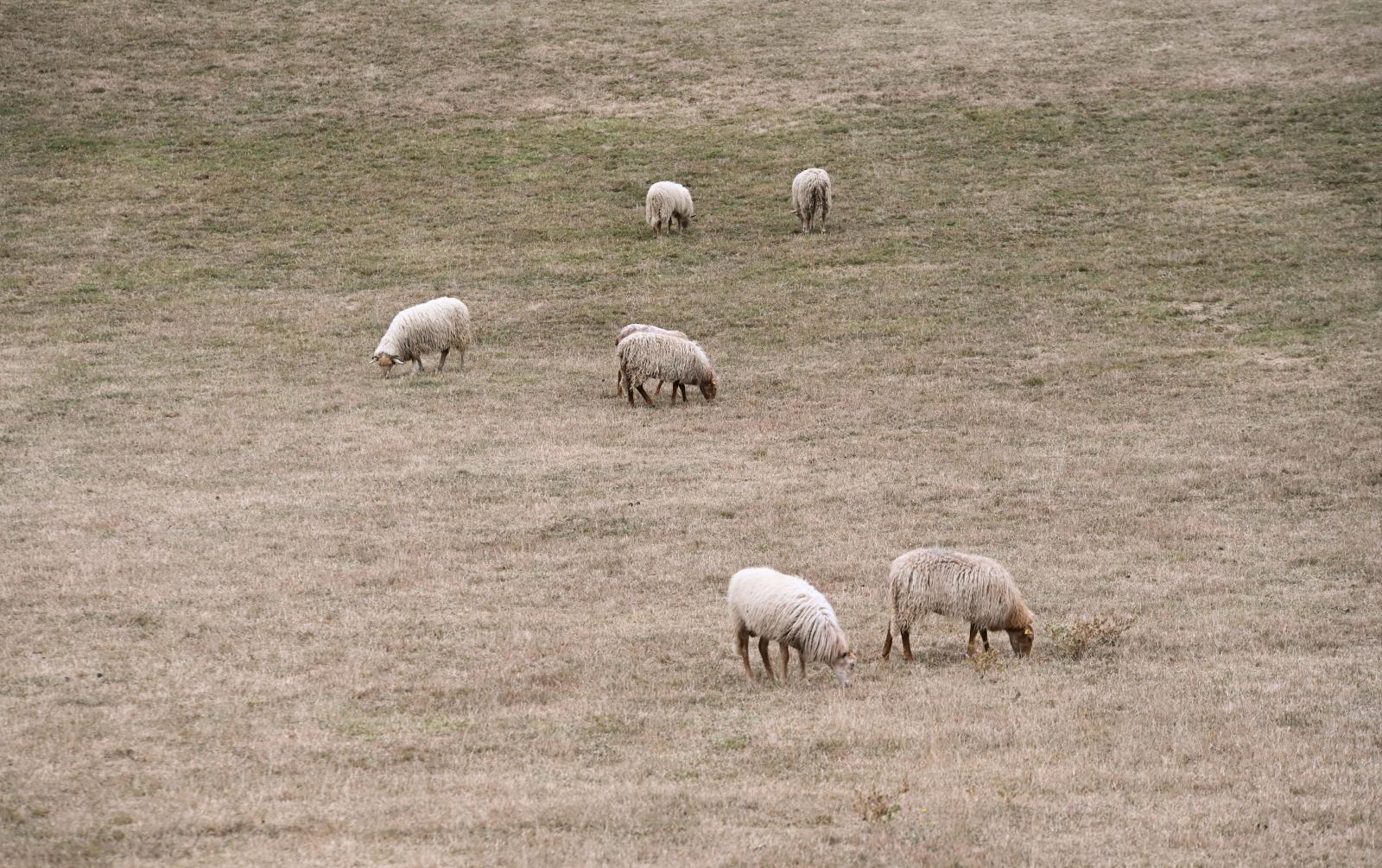 La familia Jauregi Gorrotxategi abre a DV las puertas de la quesería La Leze