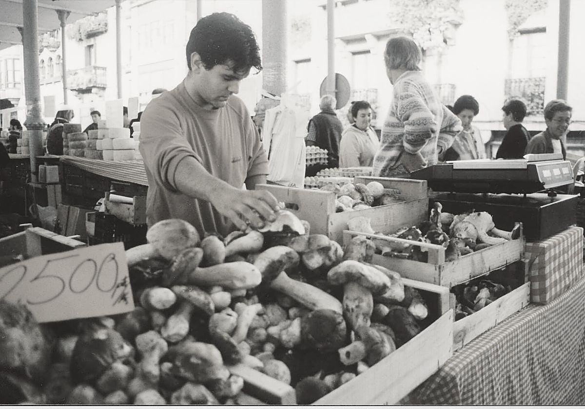 Hongos y setas en venta en Tolosa.