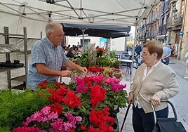 Neguko loreak Iñaki Azanzaren postuan.