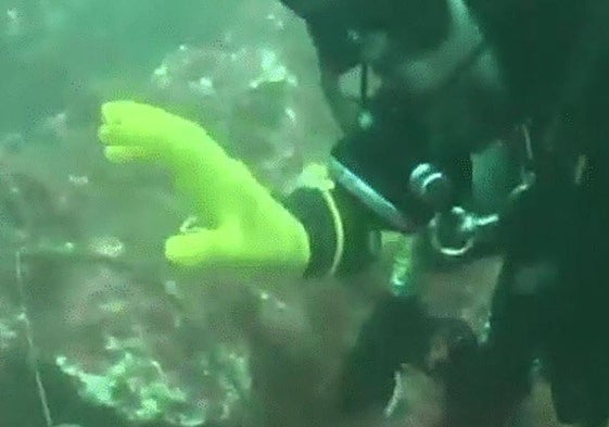 Retiran frente a Getaria una 'red fantasma', trampa mortal para peces y crustáceos