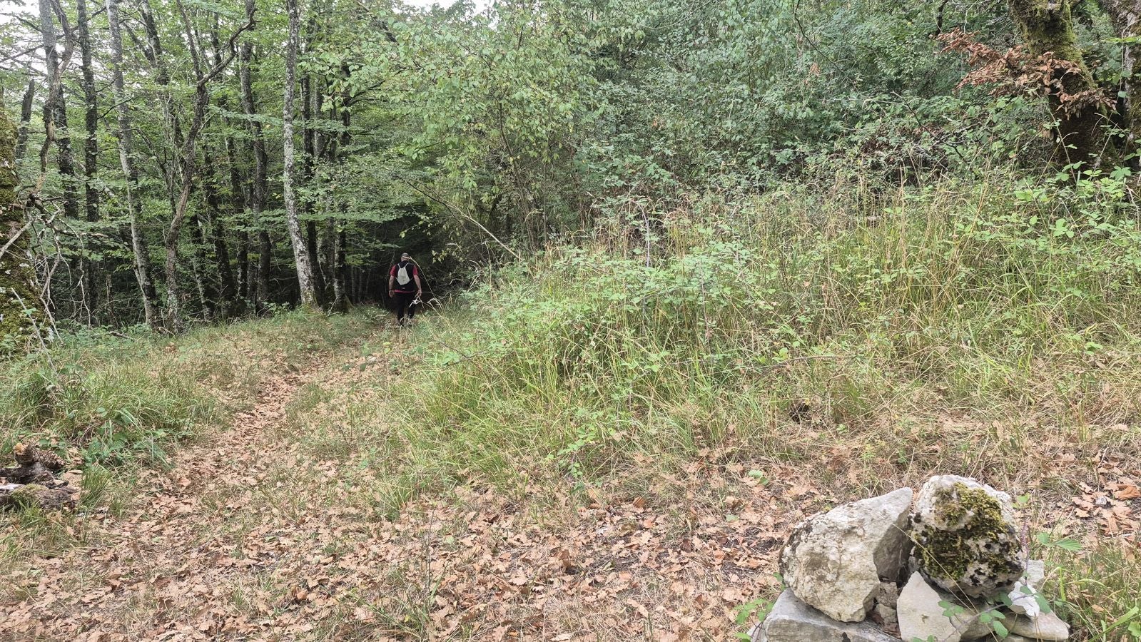 Una atalaya de casi 1.000 metros