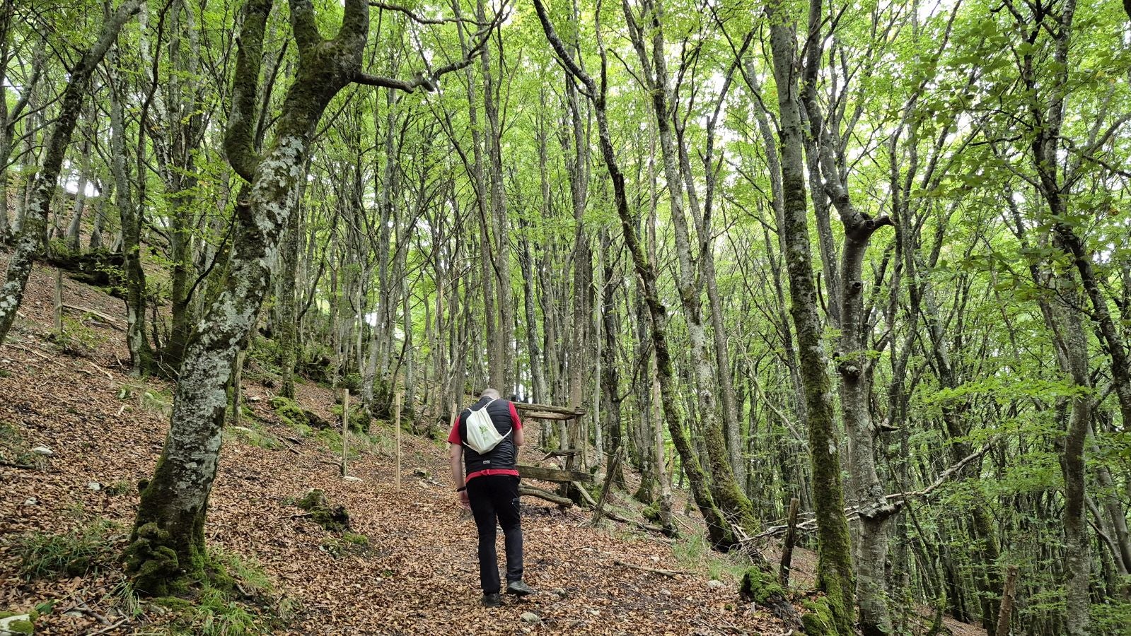 Una atalaya de casi 1.000 metros