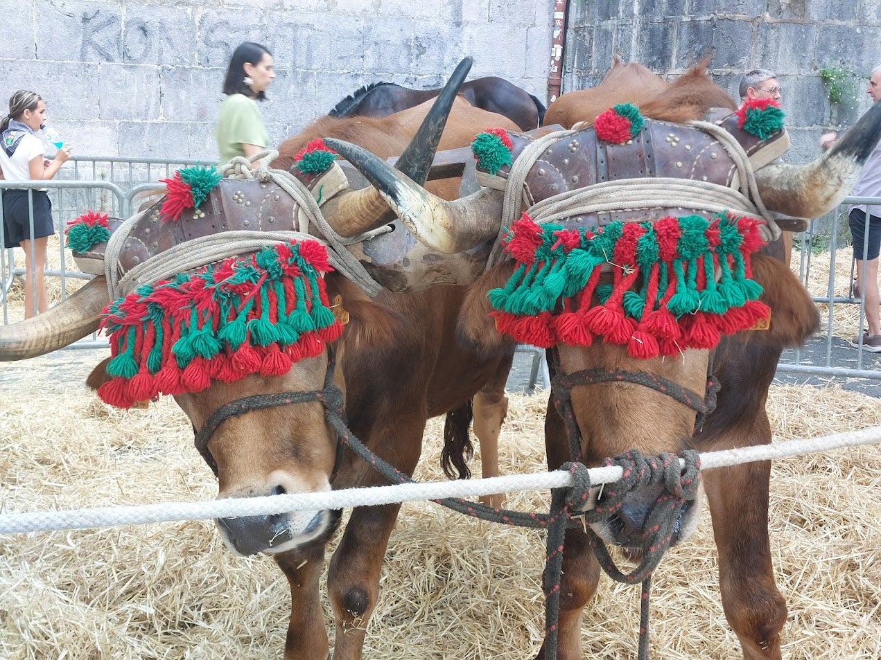Euskal Jaiak toman las calles en Hernani