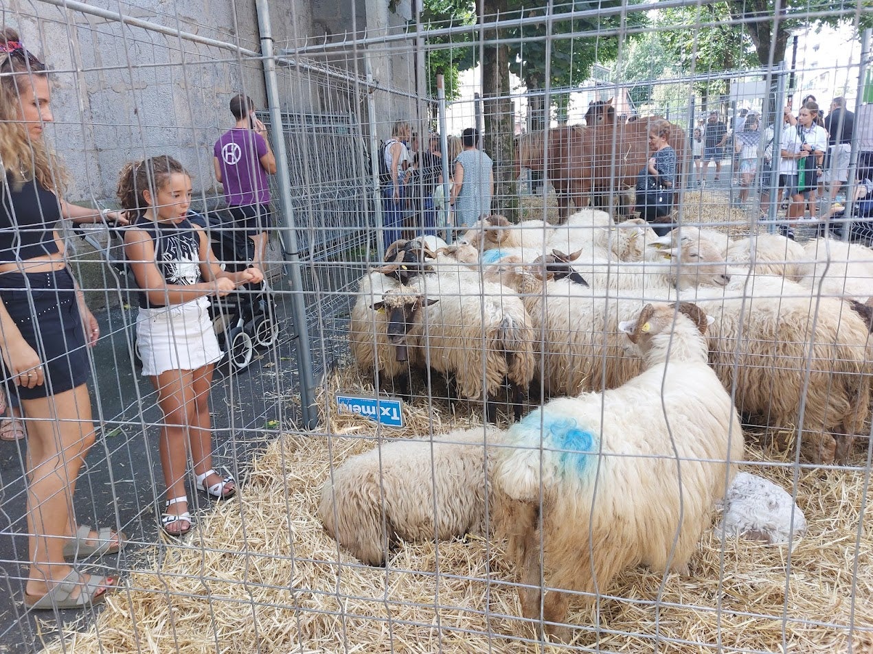 Euskal Jaiak toman las calles en Hernani