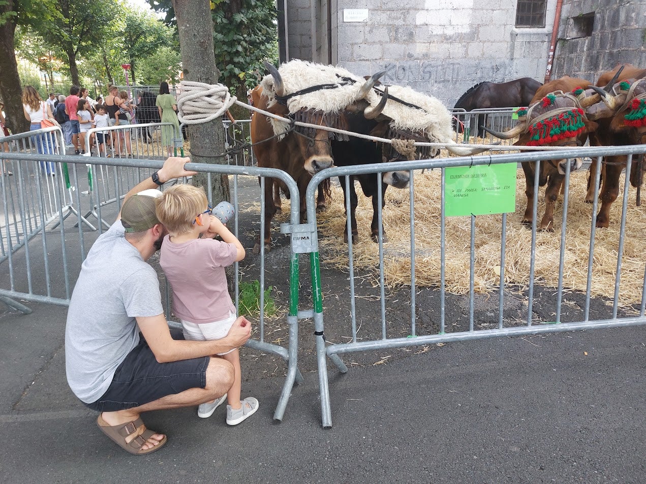 Euskal Jaiak toman las calles en Hernani