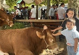 Uzturre, novillo ganador del premio al mejor macho de la raza Limousin en Gipuzkoa, fue uno de los atractivos de la feria.