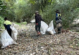 Algunos de los residuos retirados en las dos semanas de campaña de este año.