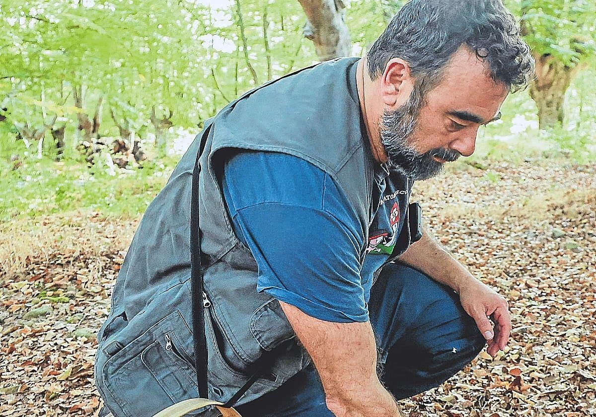 José David Fernández coge unas setas en el linde del parque Gorbeialdea.