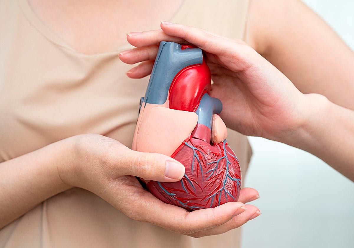 «El ejercicio físico es fundamental para prevenir enfermedades cardiovasculares, incluso independientemente del peso del paciente»