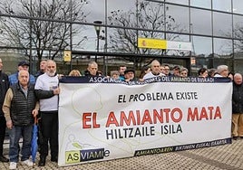 Una protesta de Asviamie en Donostia hace unos años.