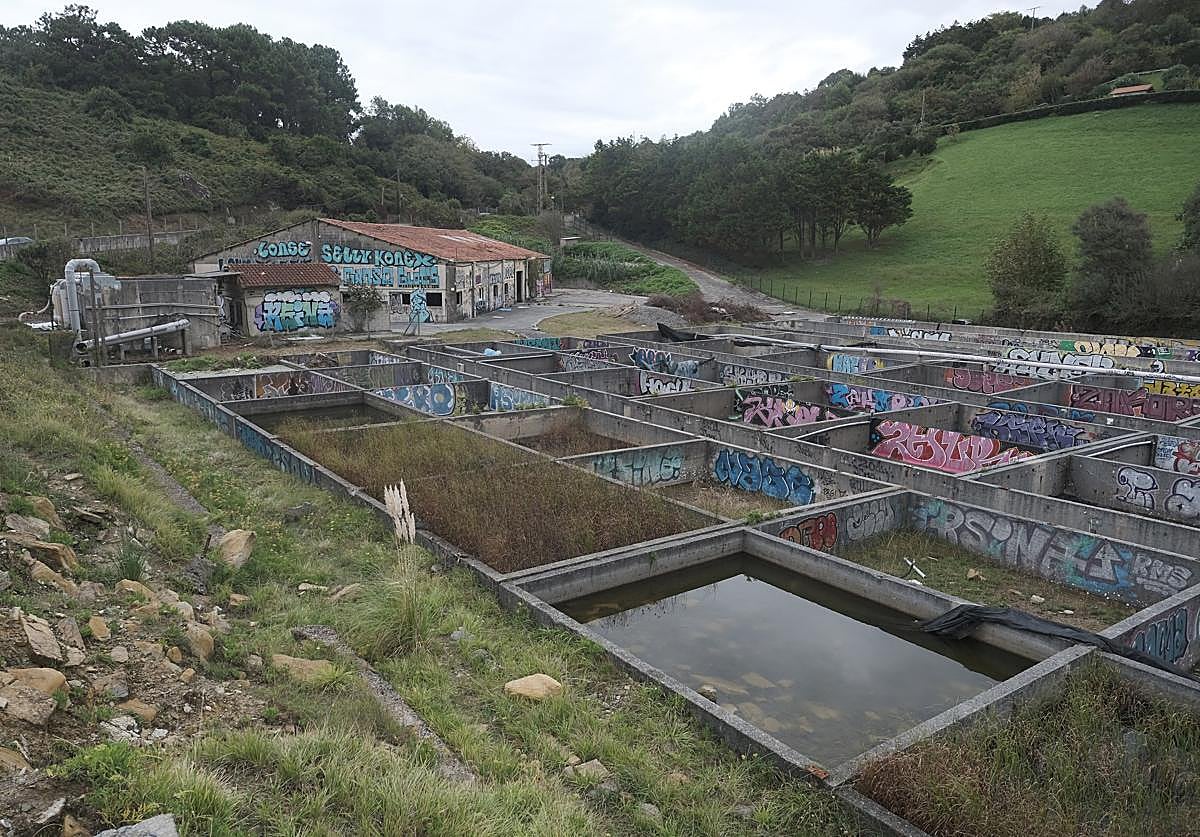 Estado actual de la piscifactoría de Agiti, en la falda de Igeldo y sin actividad desde 2006, donde está proyectado abrir un vivero de algas.