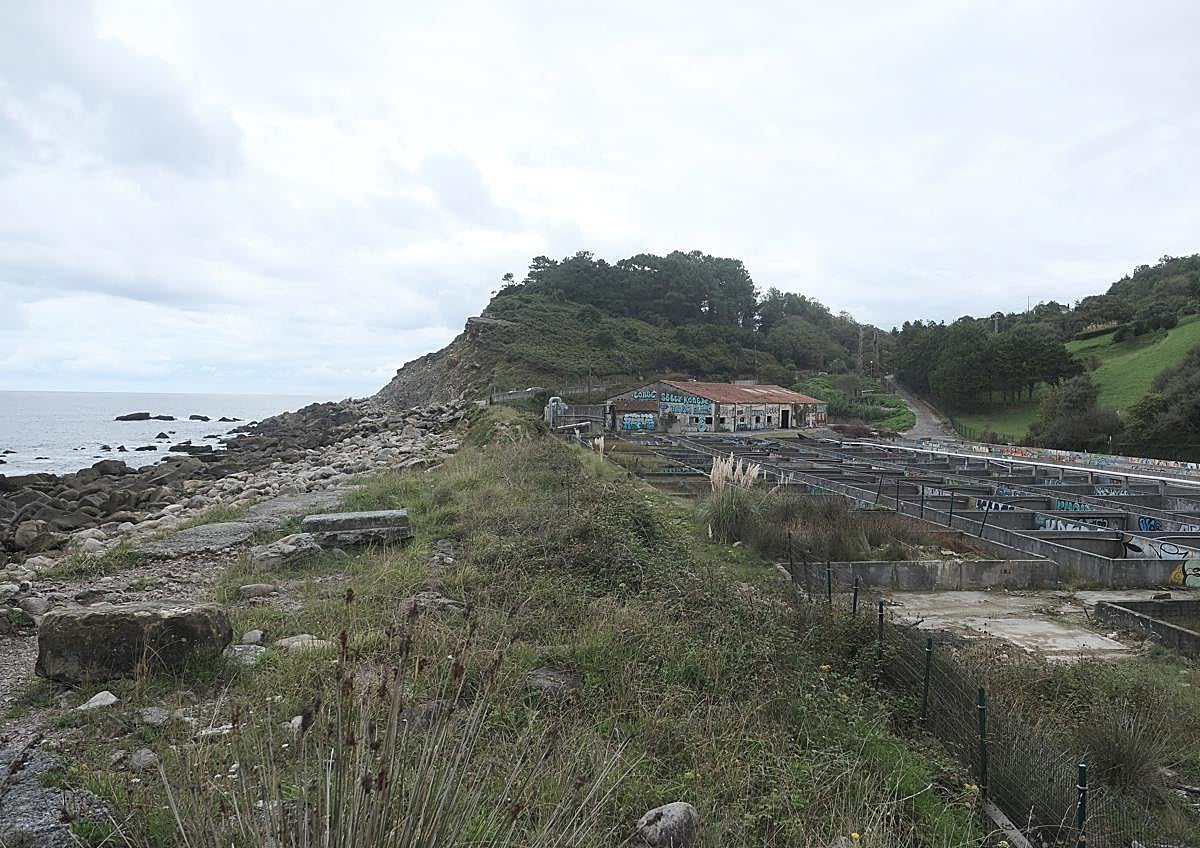 Imagen secundaria 1 - La instalación, ubicada a escasos metros del mar, cuenta con sistemas de filtrado y recirculación del agua.