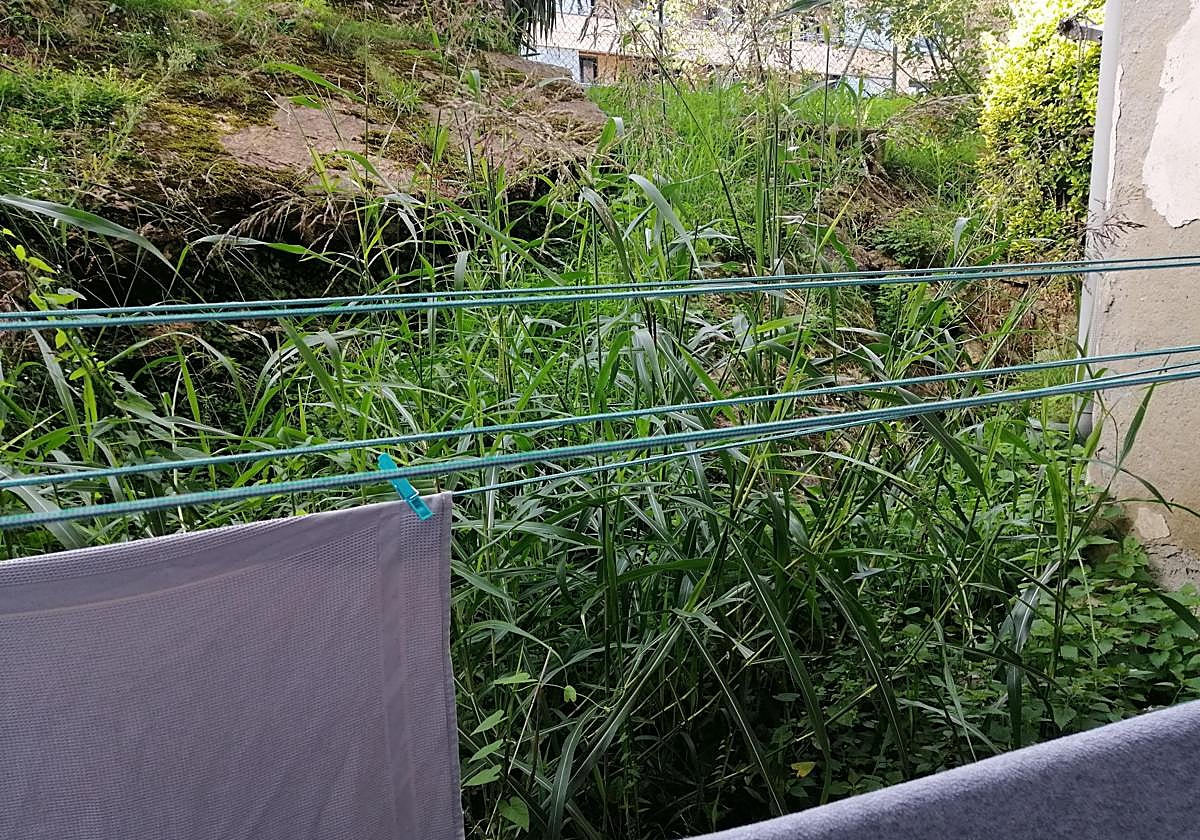 Una vecina de Buenavista se queja de que «si no llamas al Ayuntamiento para decirles que las hierbas de su jardín te entran por la ventana, se olvidan de que el barrio de Buenavista pertenece a la capital. He llamado para que corten la hierba y ni caso. ¡No puedo tender la ropa!».