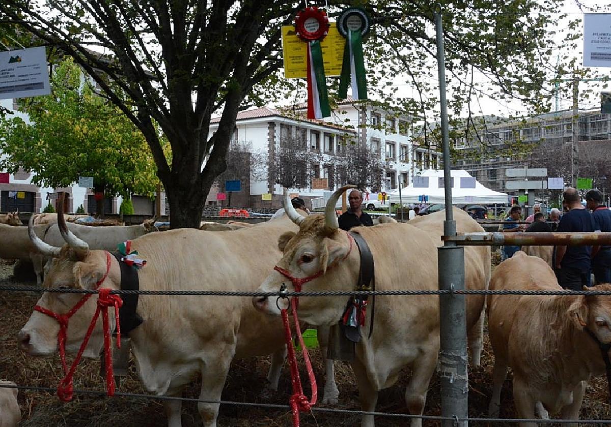 La entrega de premios tendrá lugar este domingo a las 13.00 horas.