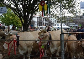 La entrega de premios tendrá lugar este domingo a las 13.00 horas.