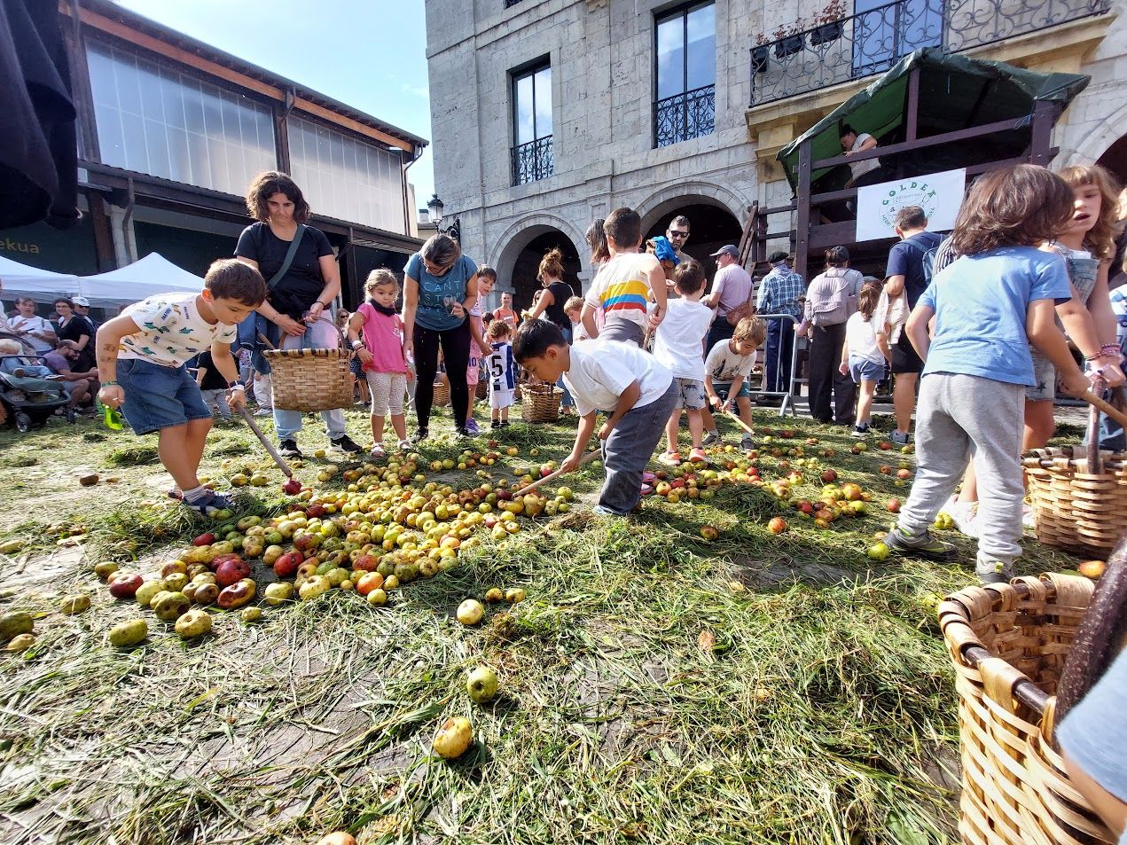 Sagar Uzta ikaragarria Foru Plazan