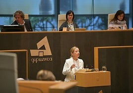 Eider Mendoza en las Juntas Generales.