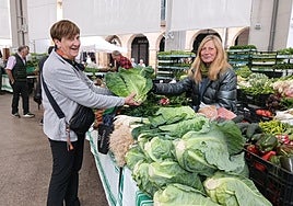 Udaberriko aza Montesen postuan.