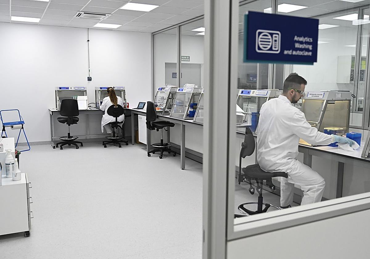 La biotecnología ha sido el sector que más capital extranjero ha atraído en Gipuzkoa en los últimos años.