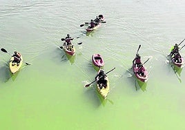 La limpieza de la ría de Orio en kayak y la ballena realizada con los residuos,dos de las actividades de la jornada