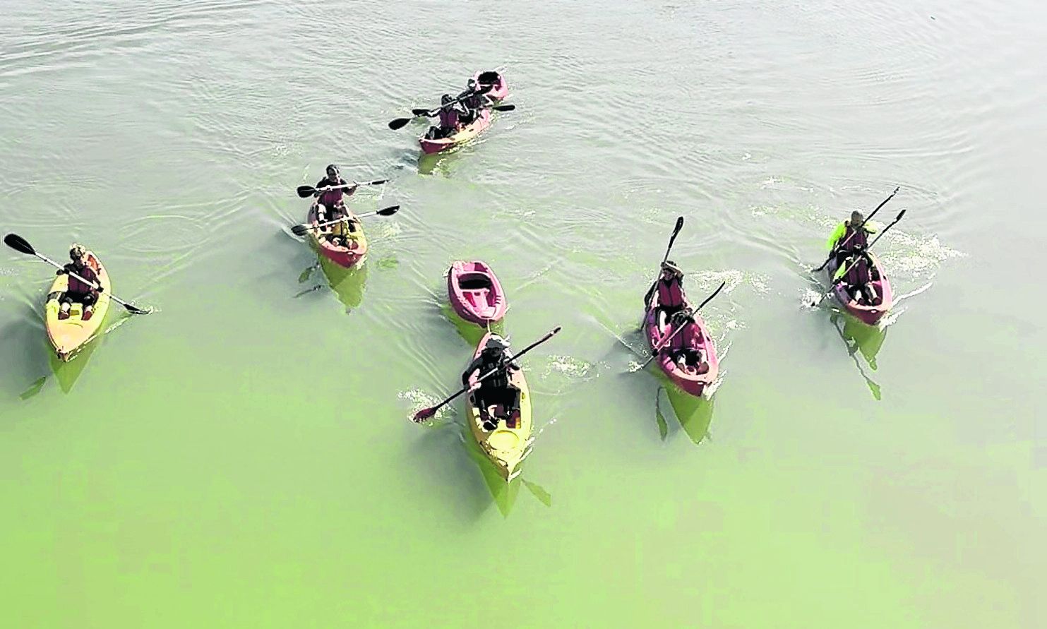 La limpieza de la ría de Orio en kayak y la ballena realizada con los residuos,dos de las actividades de la jornada