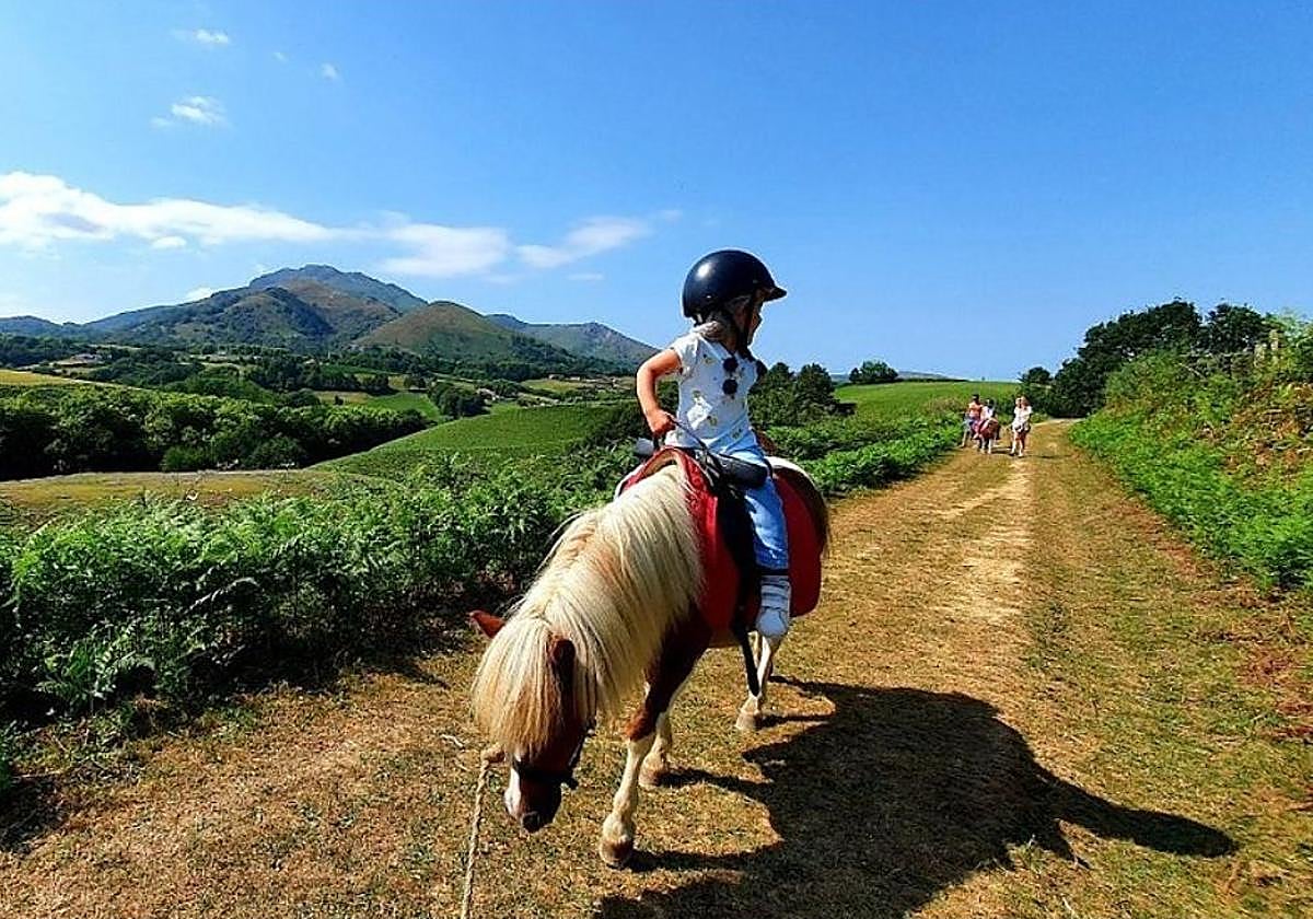 El divertido plan familiar con animales a un paso de Gipuzkoa