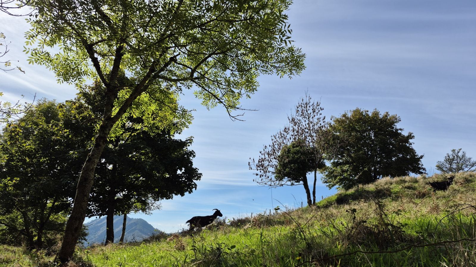 Hermosas vistas desde el Santuario de Arrate