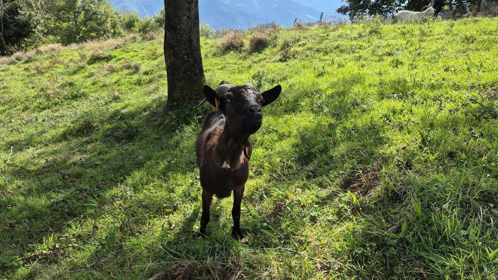 Hermosas vistas desde el Santuario de Arrate