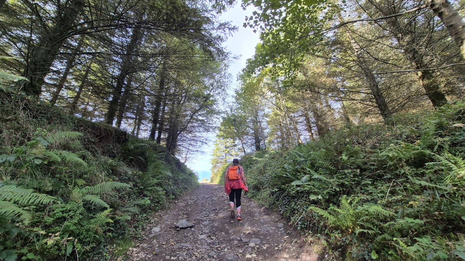 Hermosas vistas desde el Santuario de Arrate