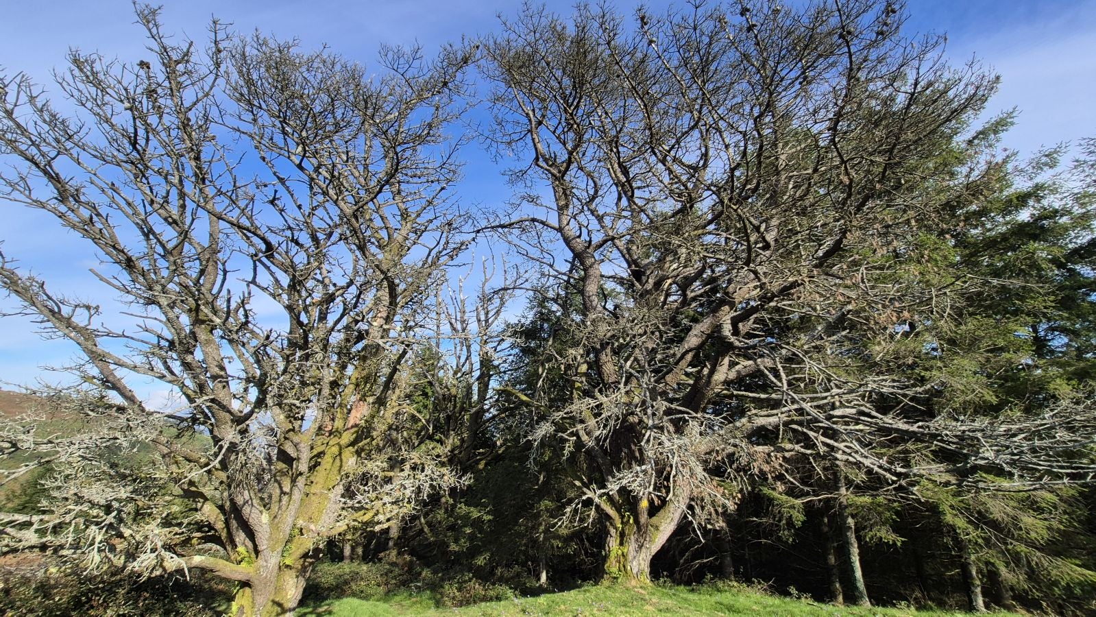 Hermosas vistas desde el Santuario de Arrate