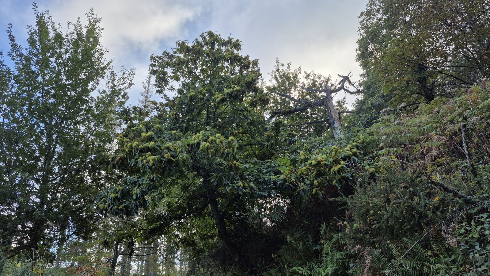 Hermosas vistas desde el Santuario de Arrate