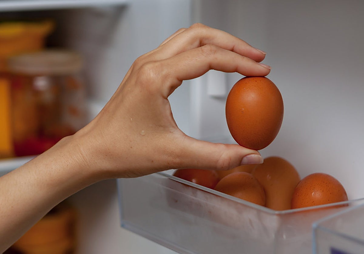 Los huevos se guardan ¿fuera o dentro de la nevera?
