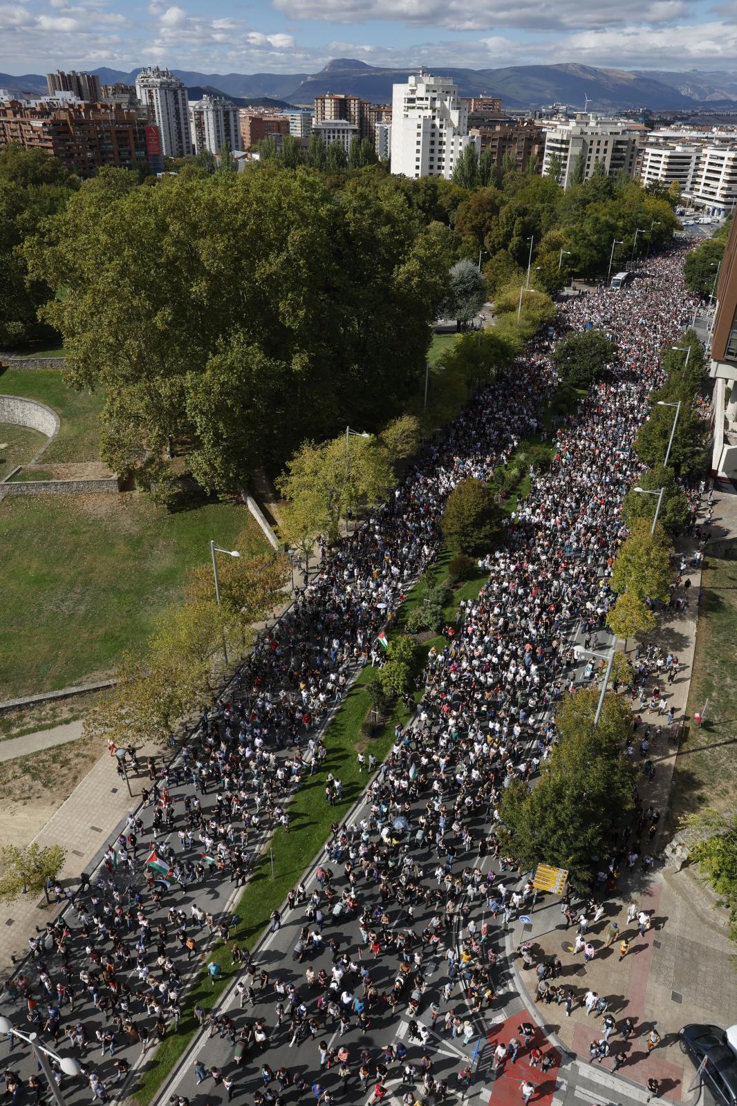 Multitudinaria marcha en apoyo a Palestina