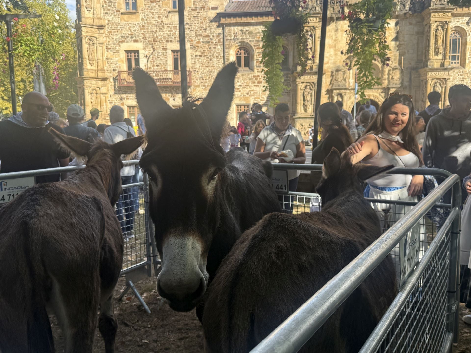 Las kuadrillas llenan un Oñati muy &#039;tropical&#039;