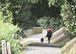 Parque urbano. Una mujer camina con su perro por el parque Elosegi, abierto ahora hace cinco años, en imagen tomada esta semana.