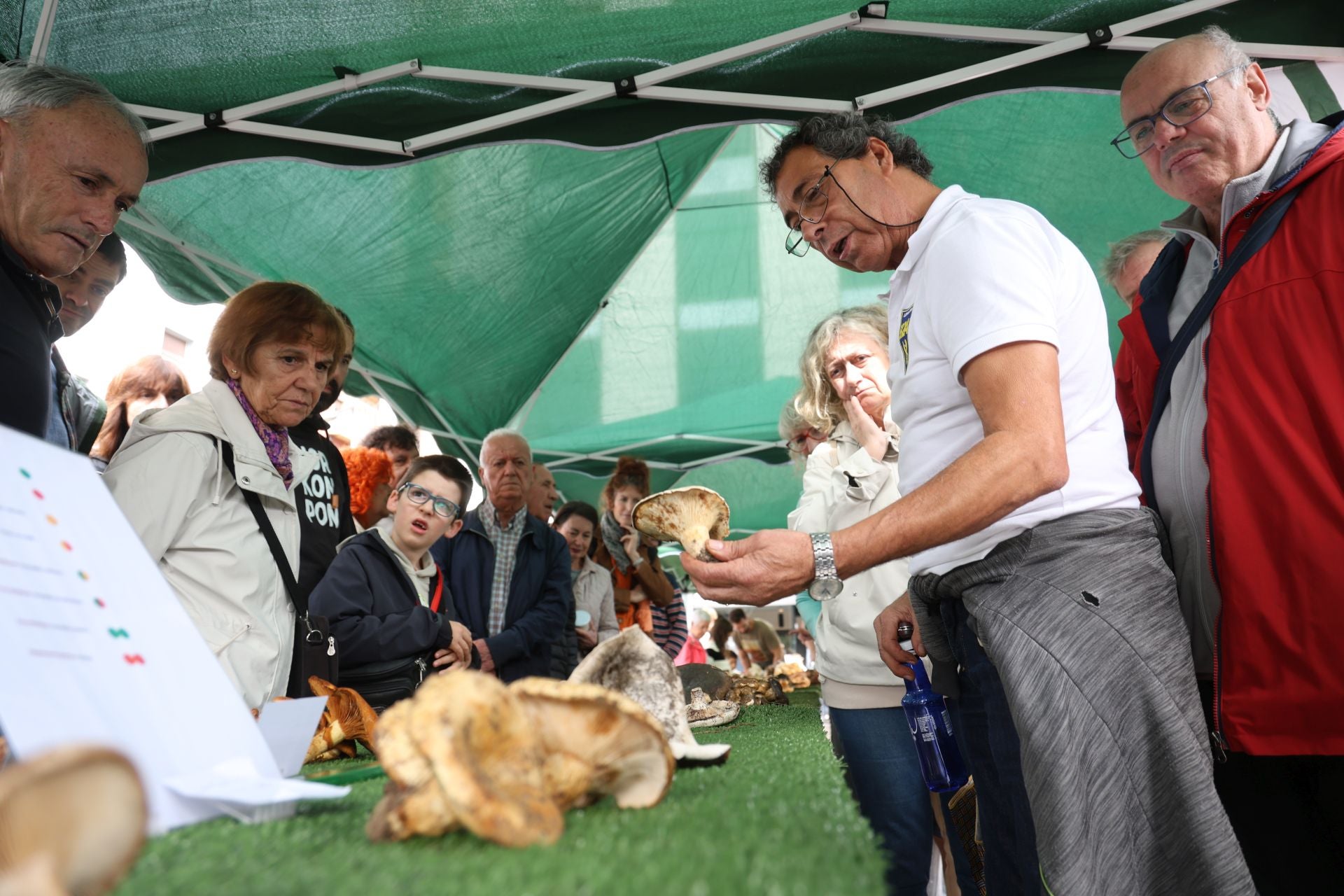 La micología reina en el barrio de Loiola