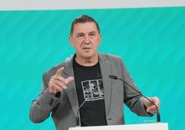 Otegi pide a PNV y PSE que se negocien de manera conjunta los presupuestos del Gobierno Vasco y de las diputaciones
