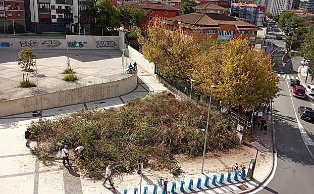 Zarzas y maleza retiradas por los vecinos de la zona contaminada.