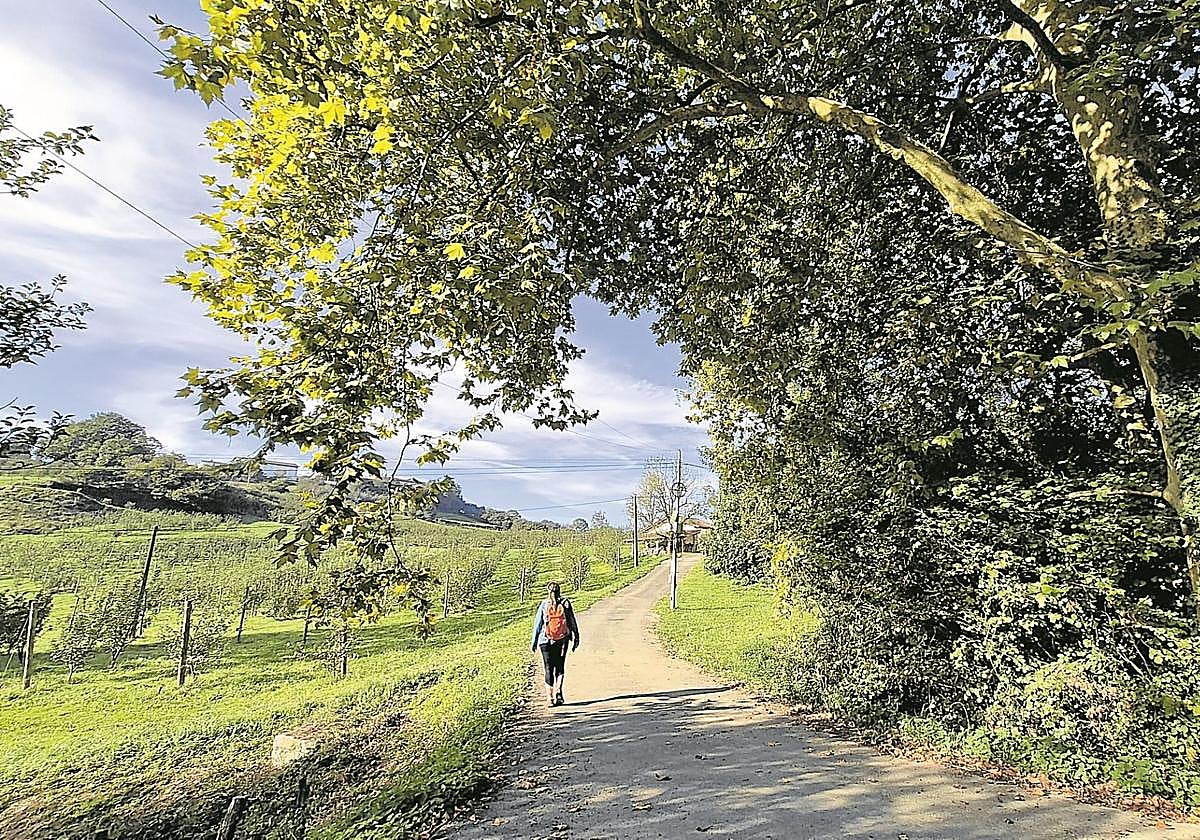 Pasear por los caseríos de Altzo nos permite disfrutar de un entorno precioso con magníficas vistas.