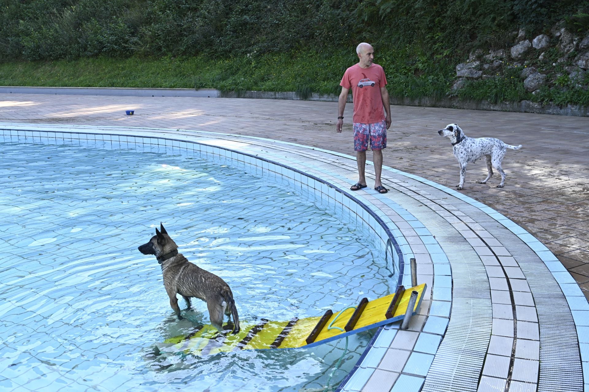 Los perros se adueñan de las piscinas de Eibar